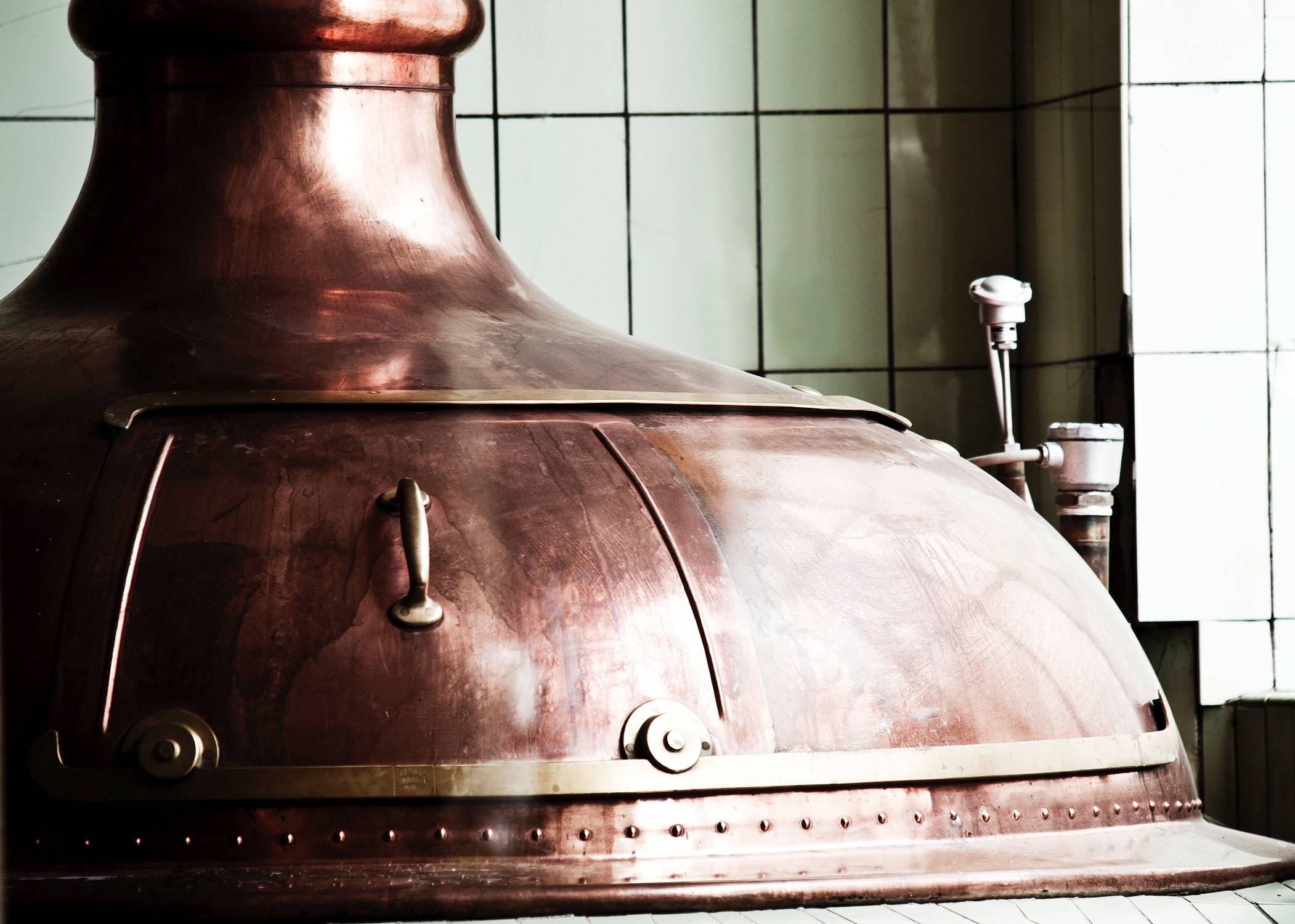 Bier-Degustation