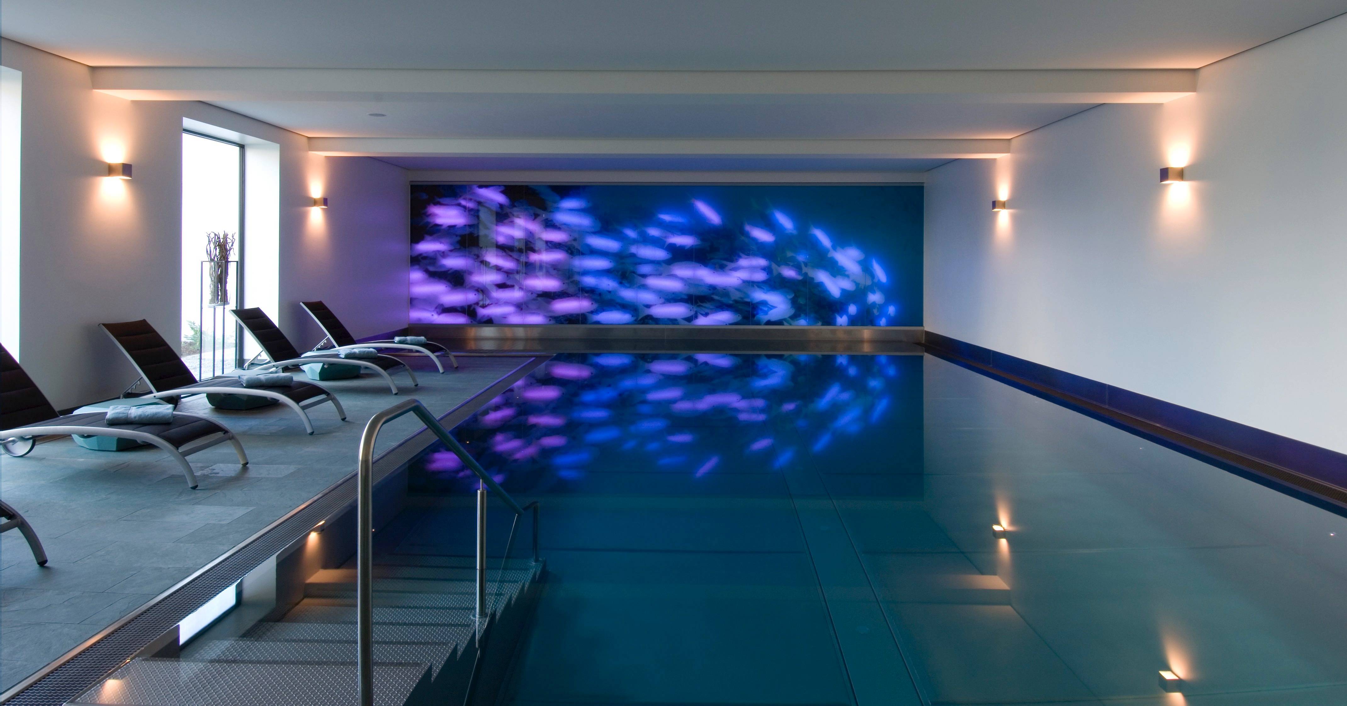 Wellness