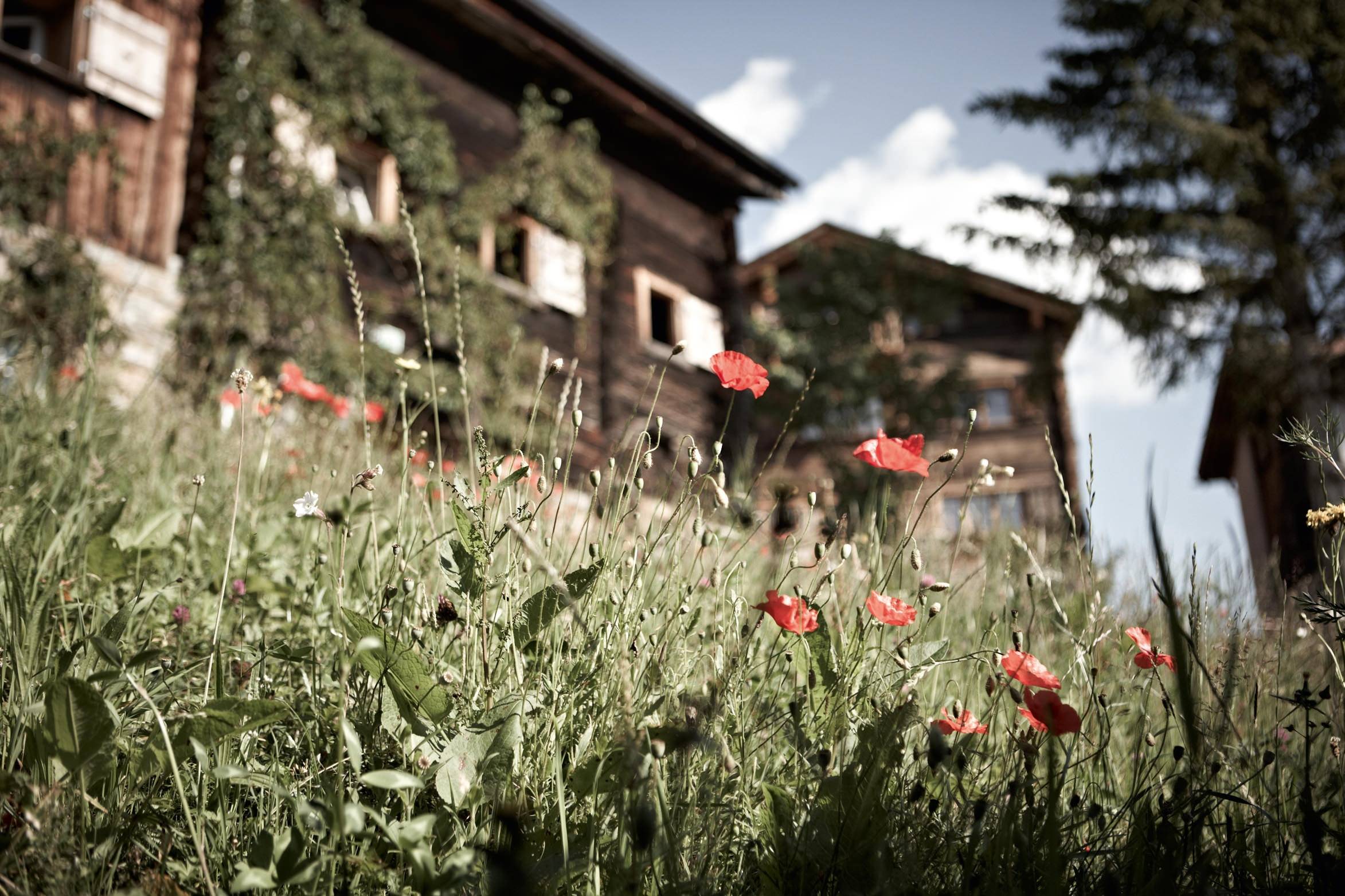 Guarda Sana Spa