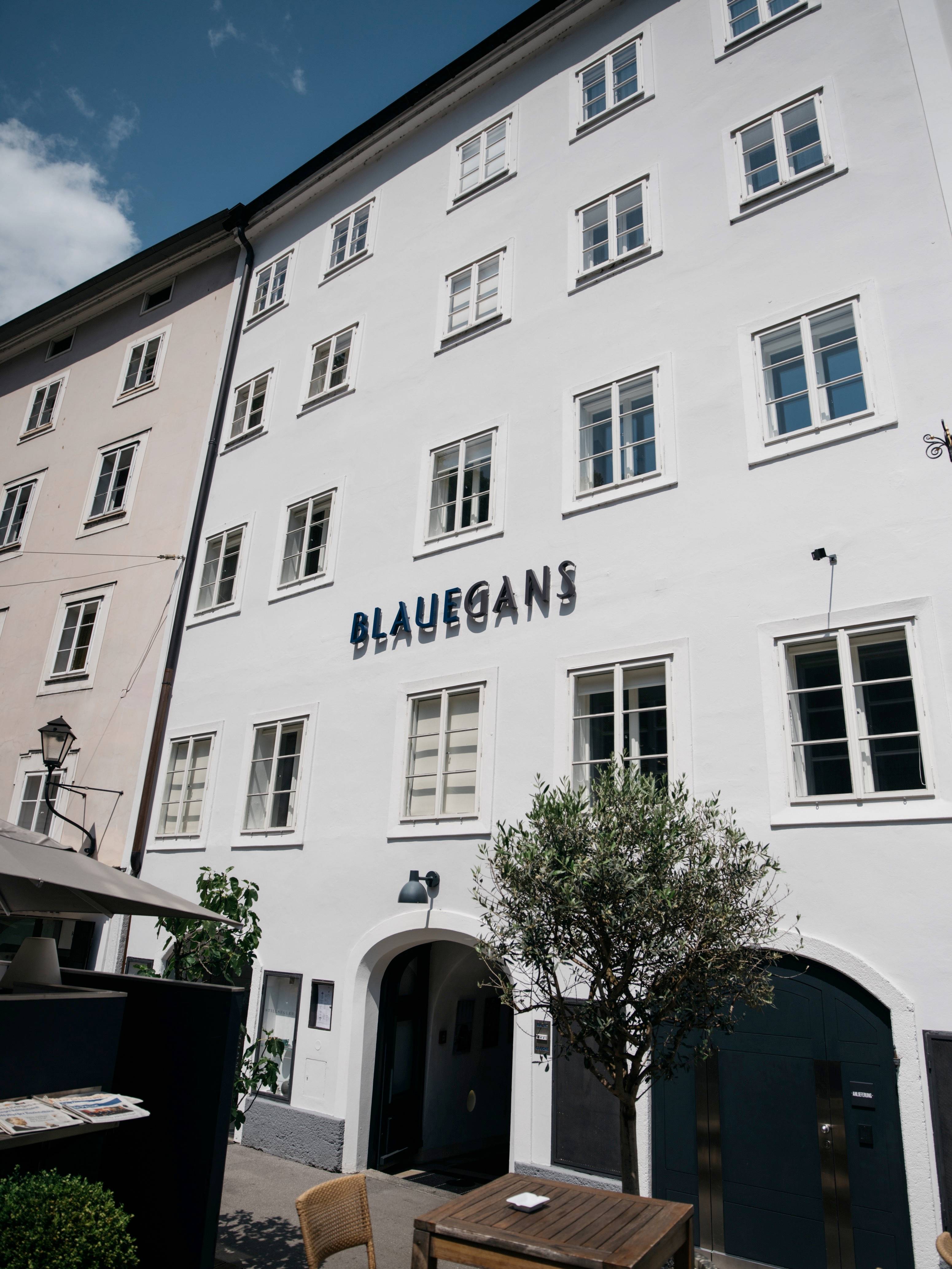 arthotel Blaue Gans