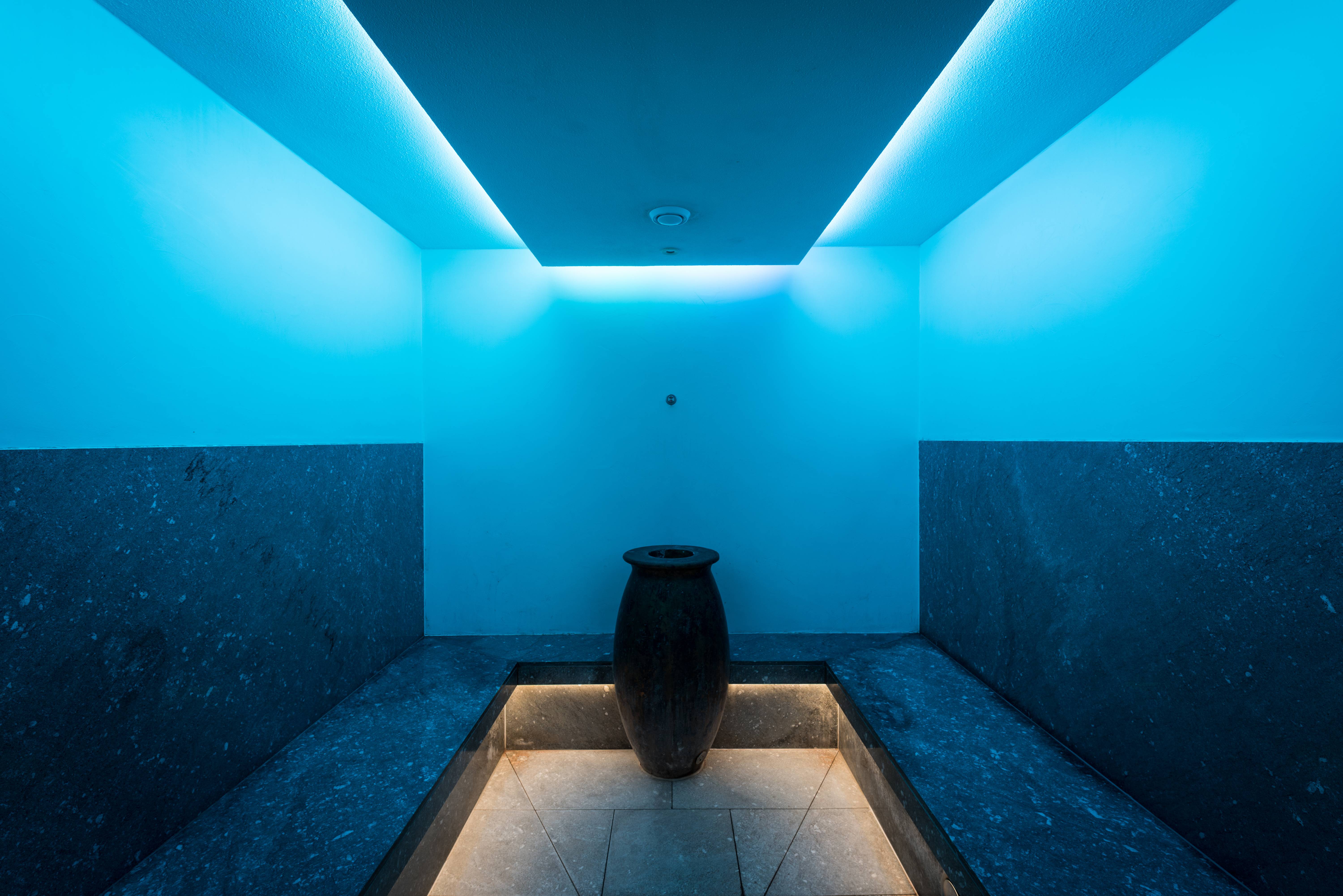Wellness