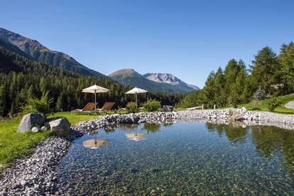 Sicht auf die Berge vom Garten des Hotels