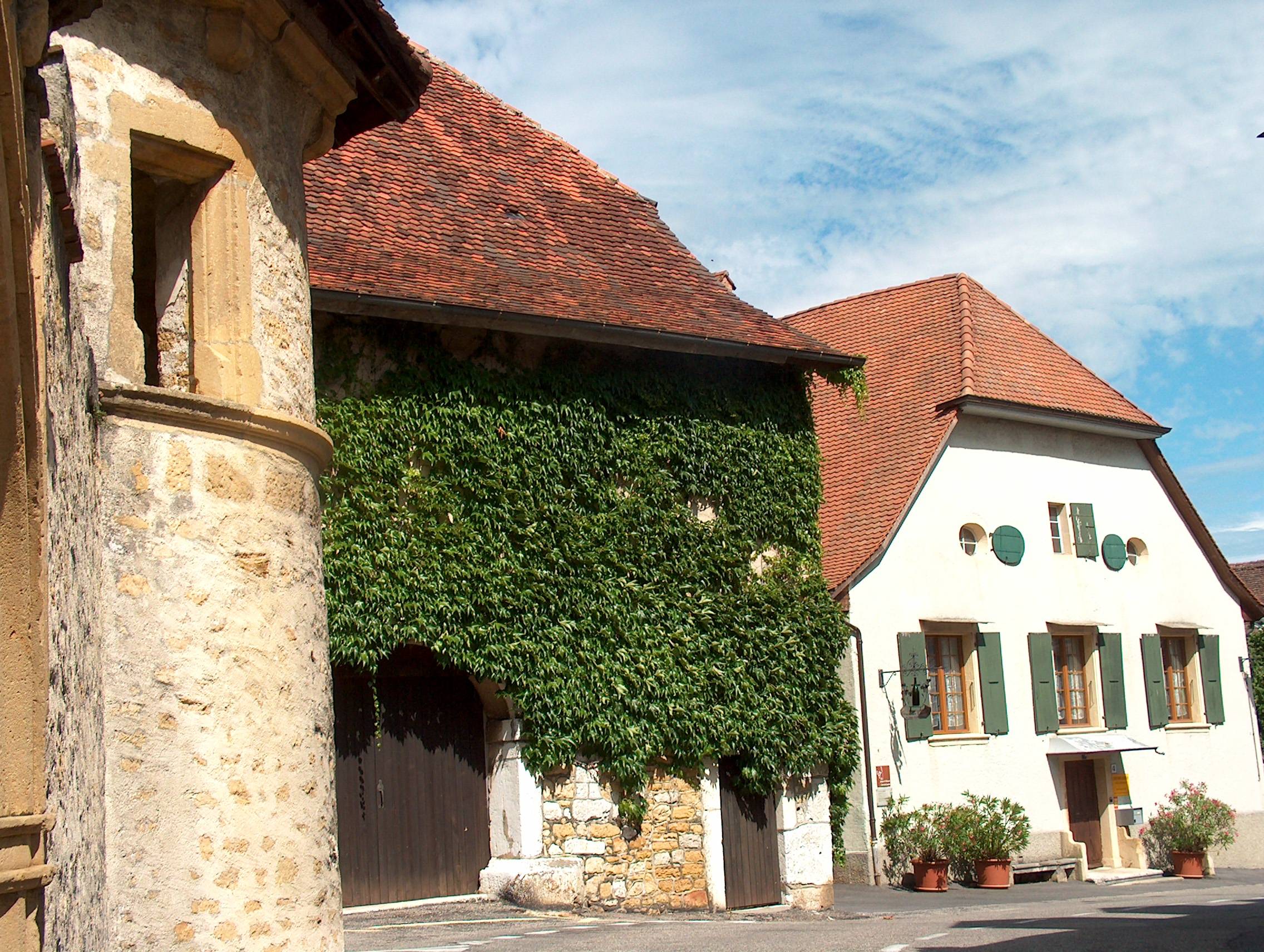 Cave des Lauriers, Jungo & Fellmann