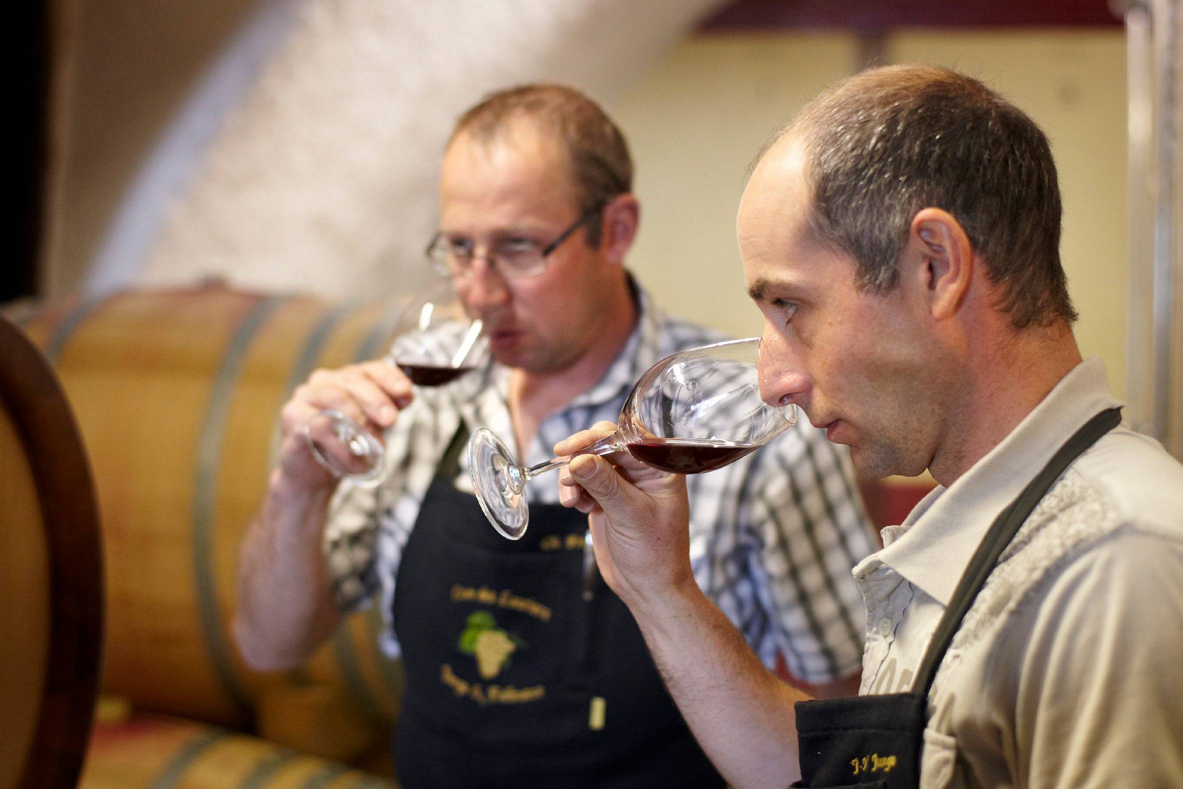Dégustation de vins à la Cave des Lauriers