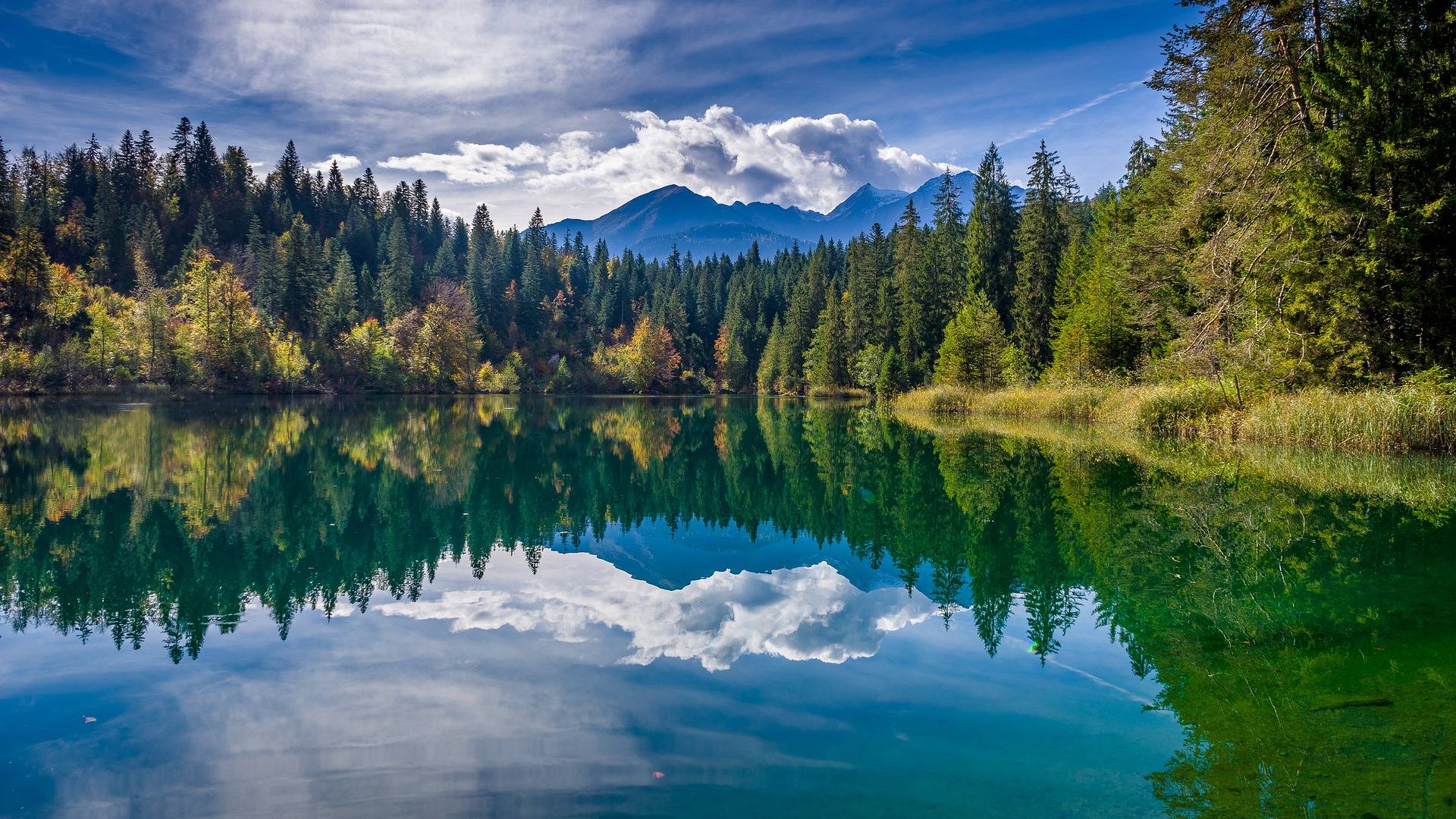 Sommerferien in den Alpen, Zentralschweiz