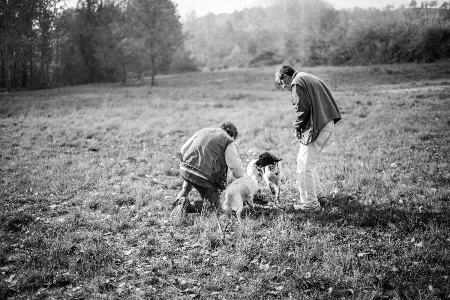 Exklusive Trüffelsuche im Piemont