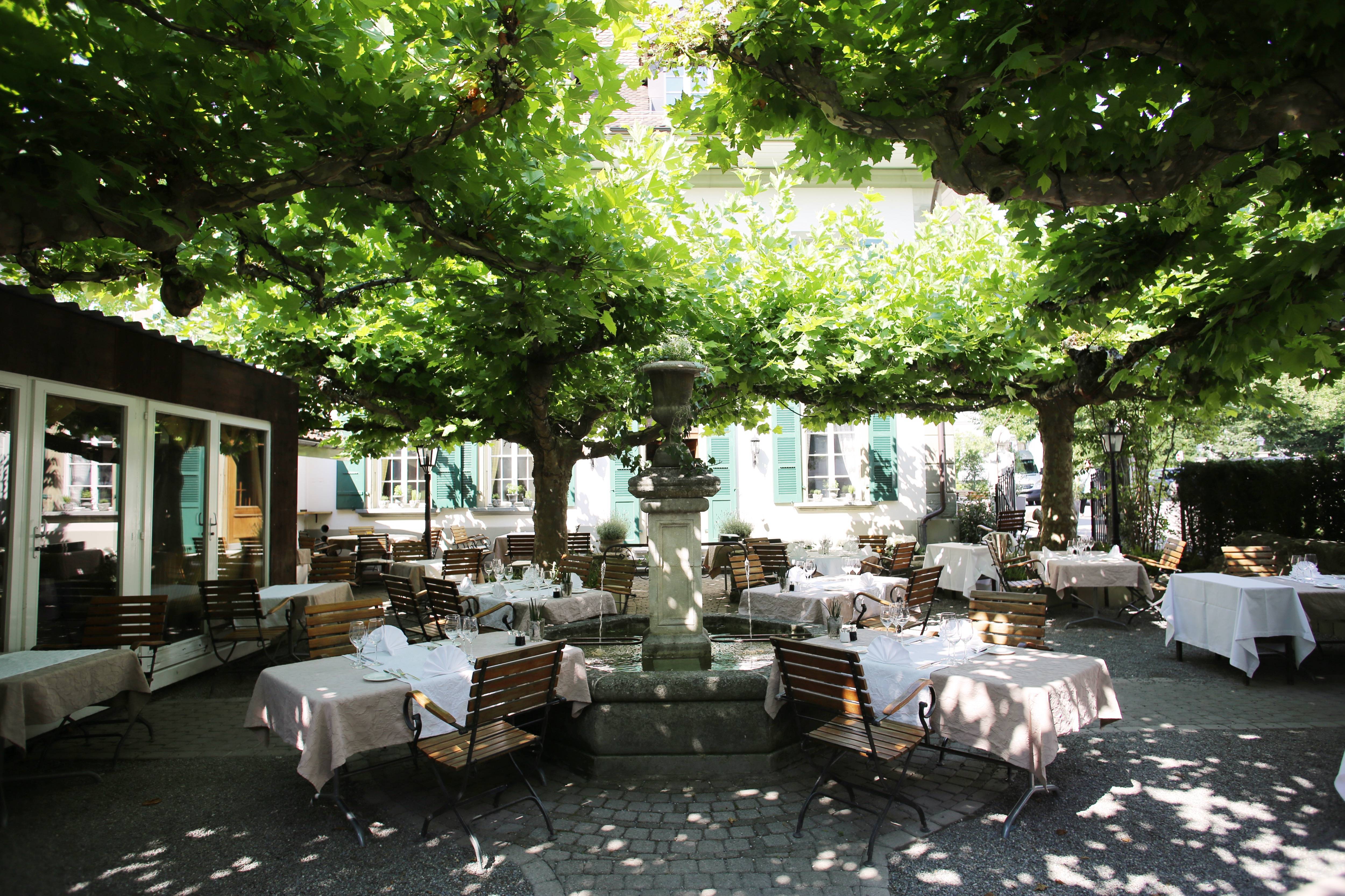 Platanengarten im Sommer