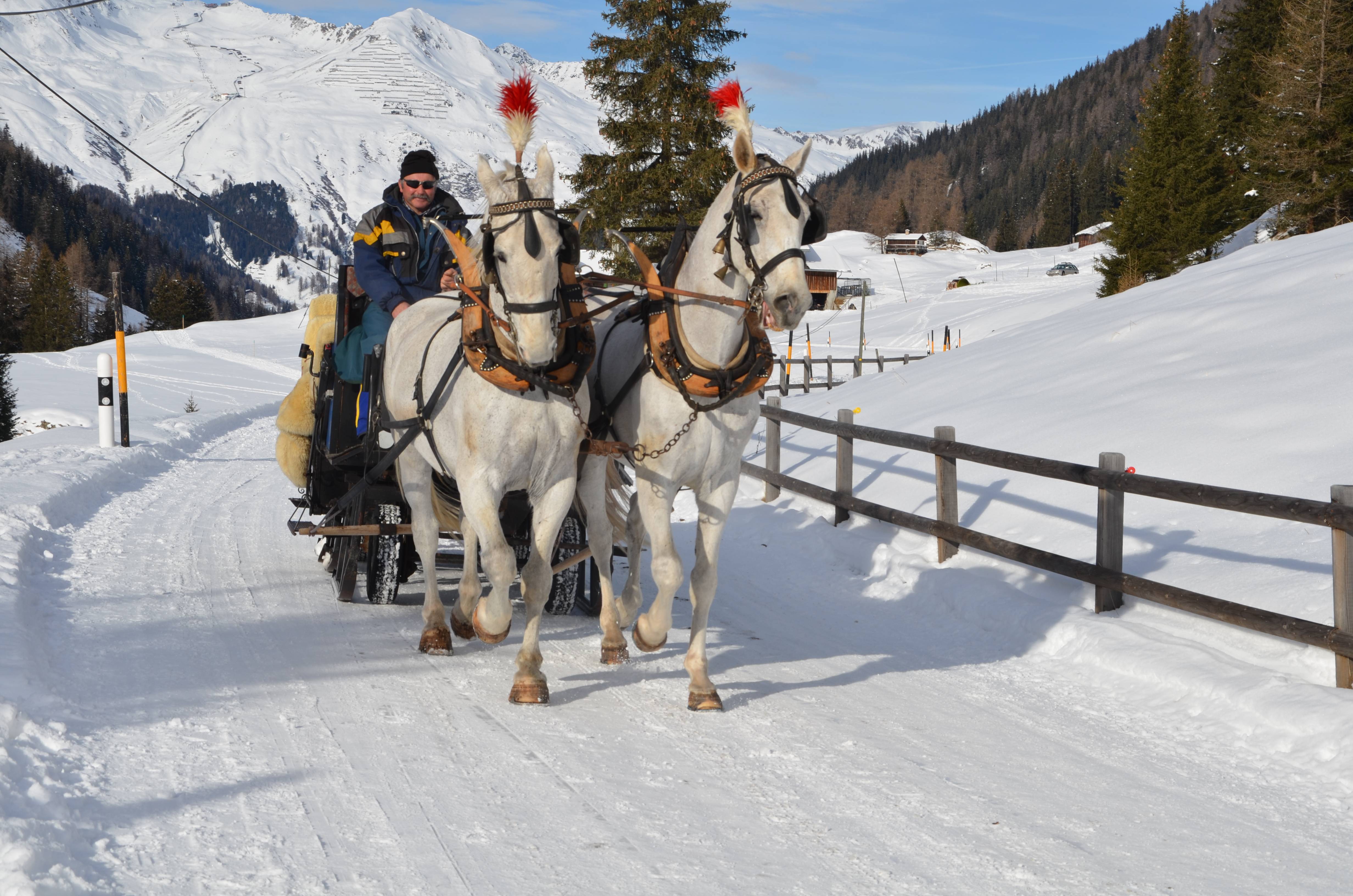 promenade en calèche jusqu'au Walserhuus Sertig
