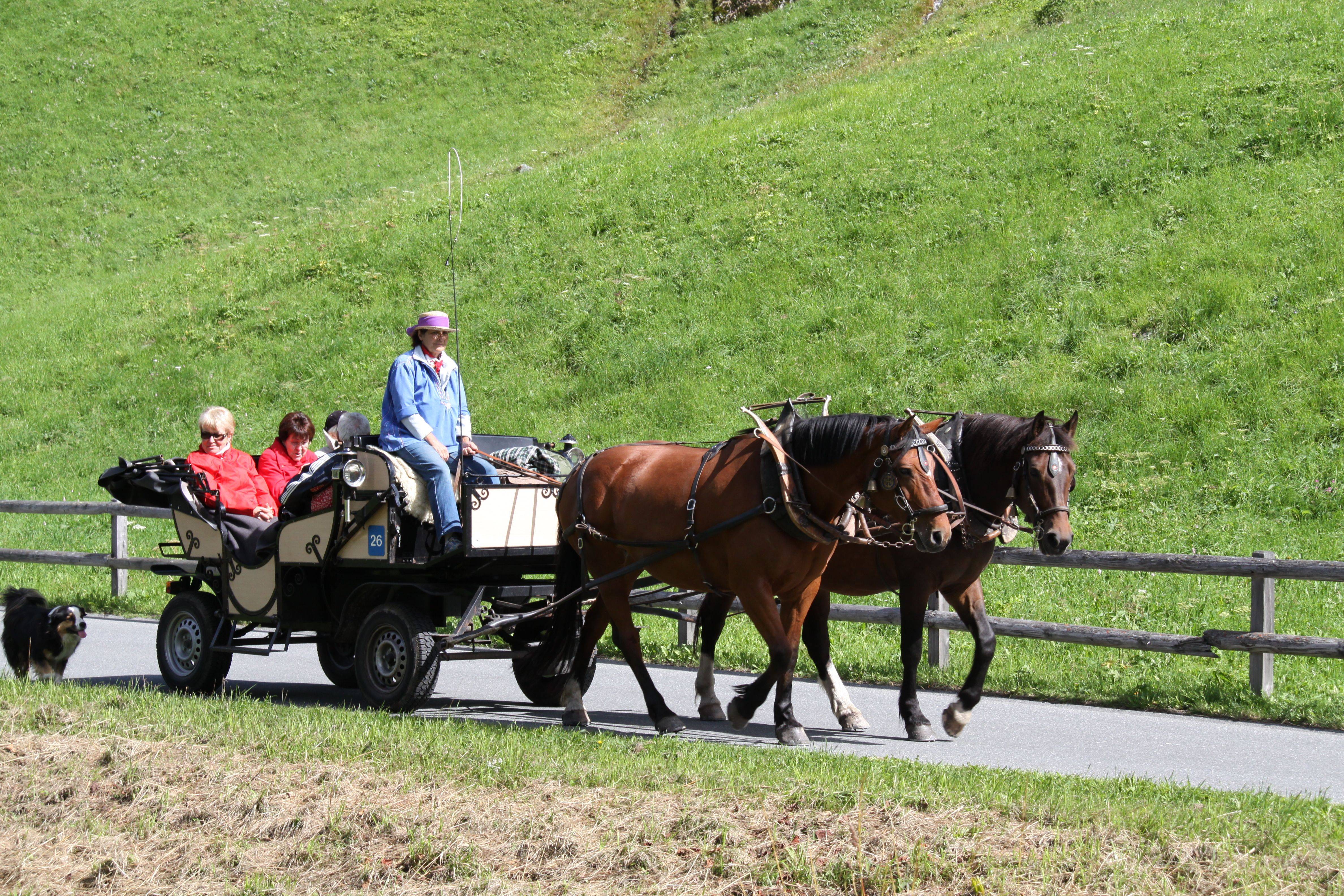 Pferdekutschenfahrt zum Walserhuus Sertig