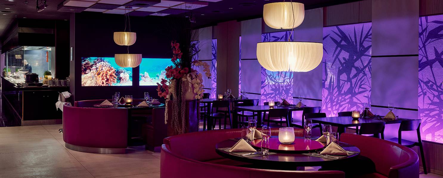 Restaurant Yù
