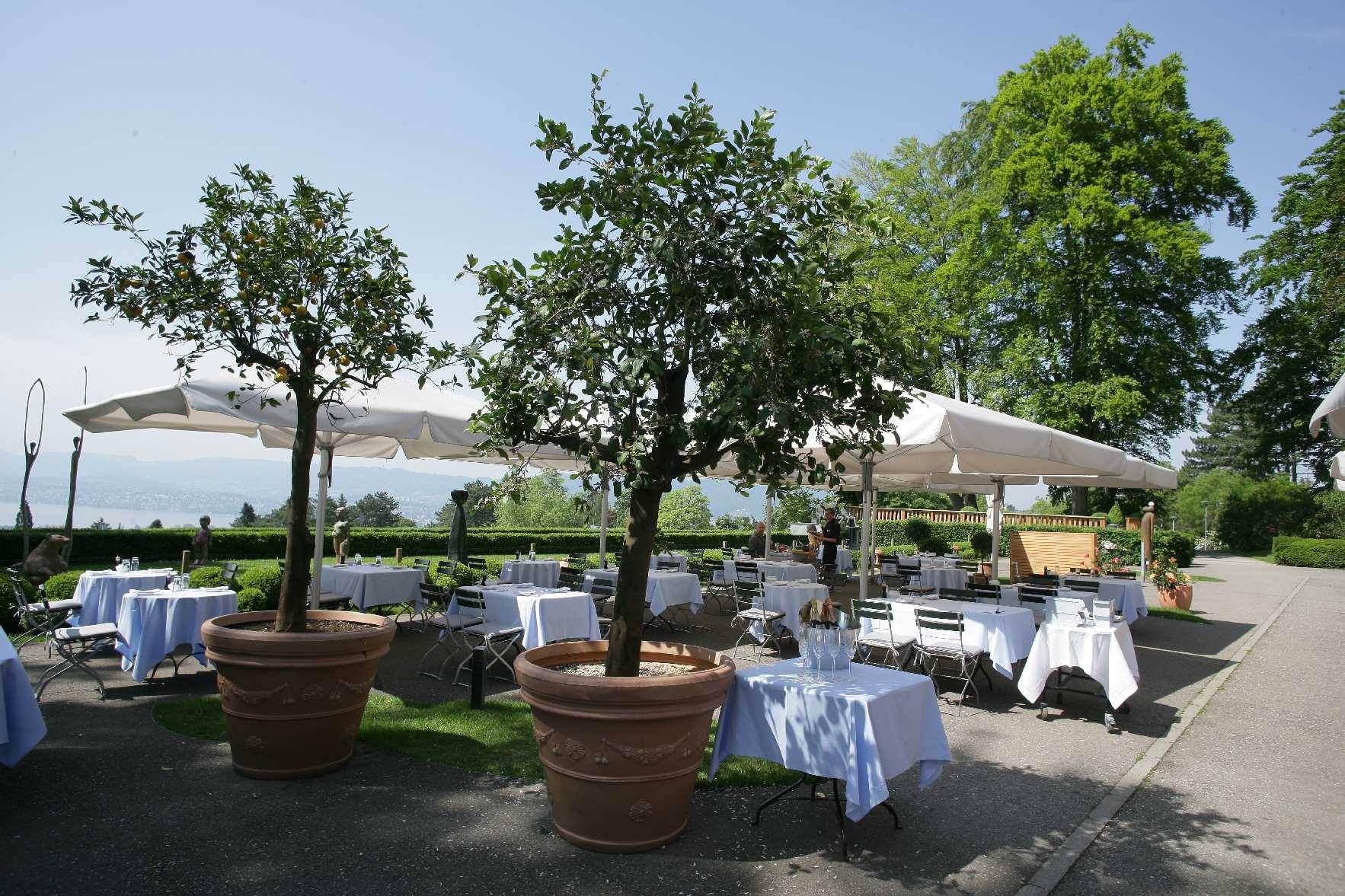 Zürichberg Terrasse & Lounge