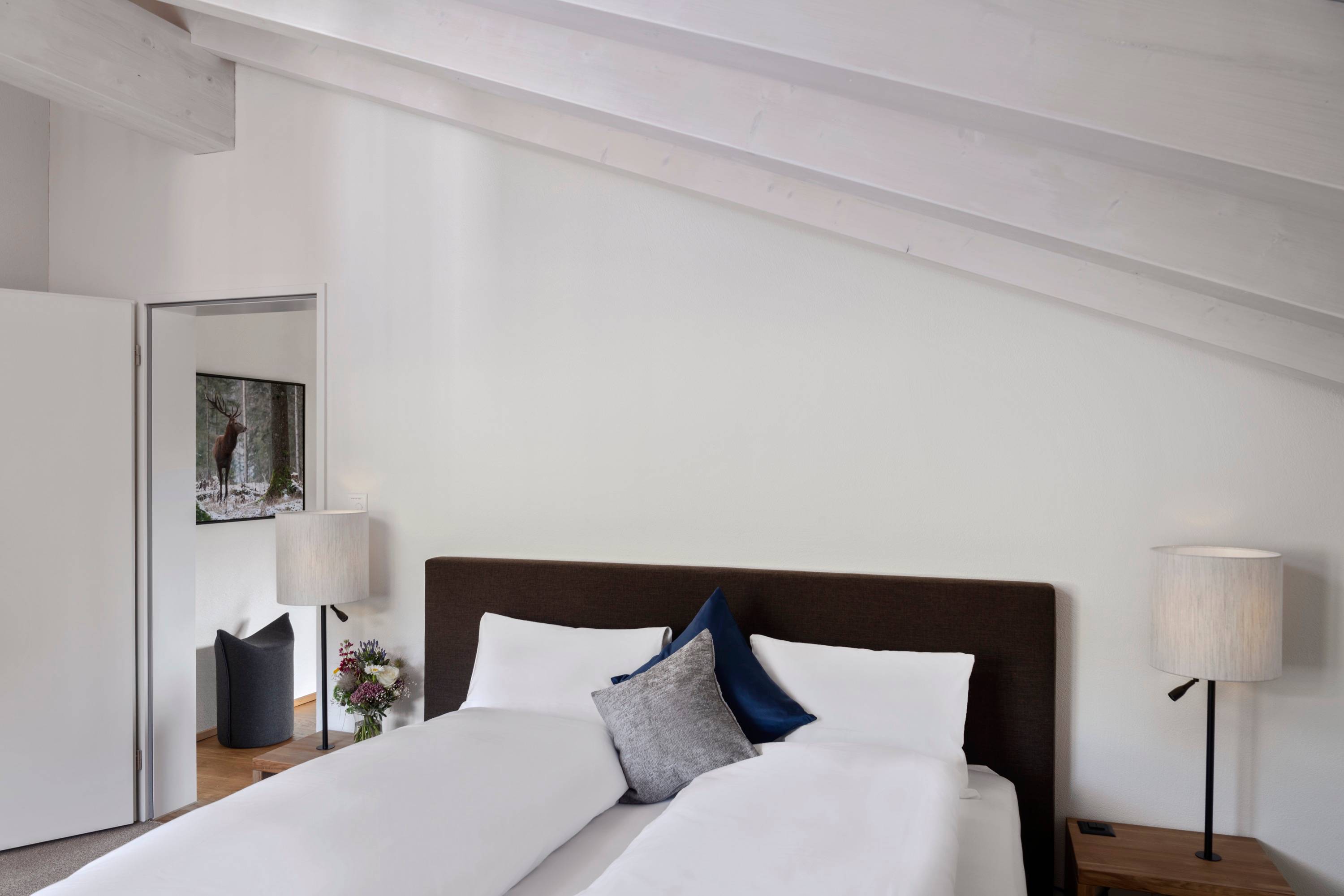 Luxury Suite Tscharva