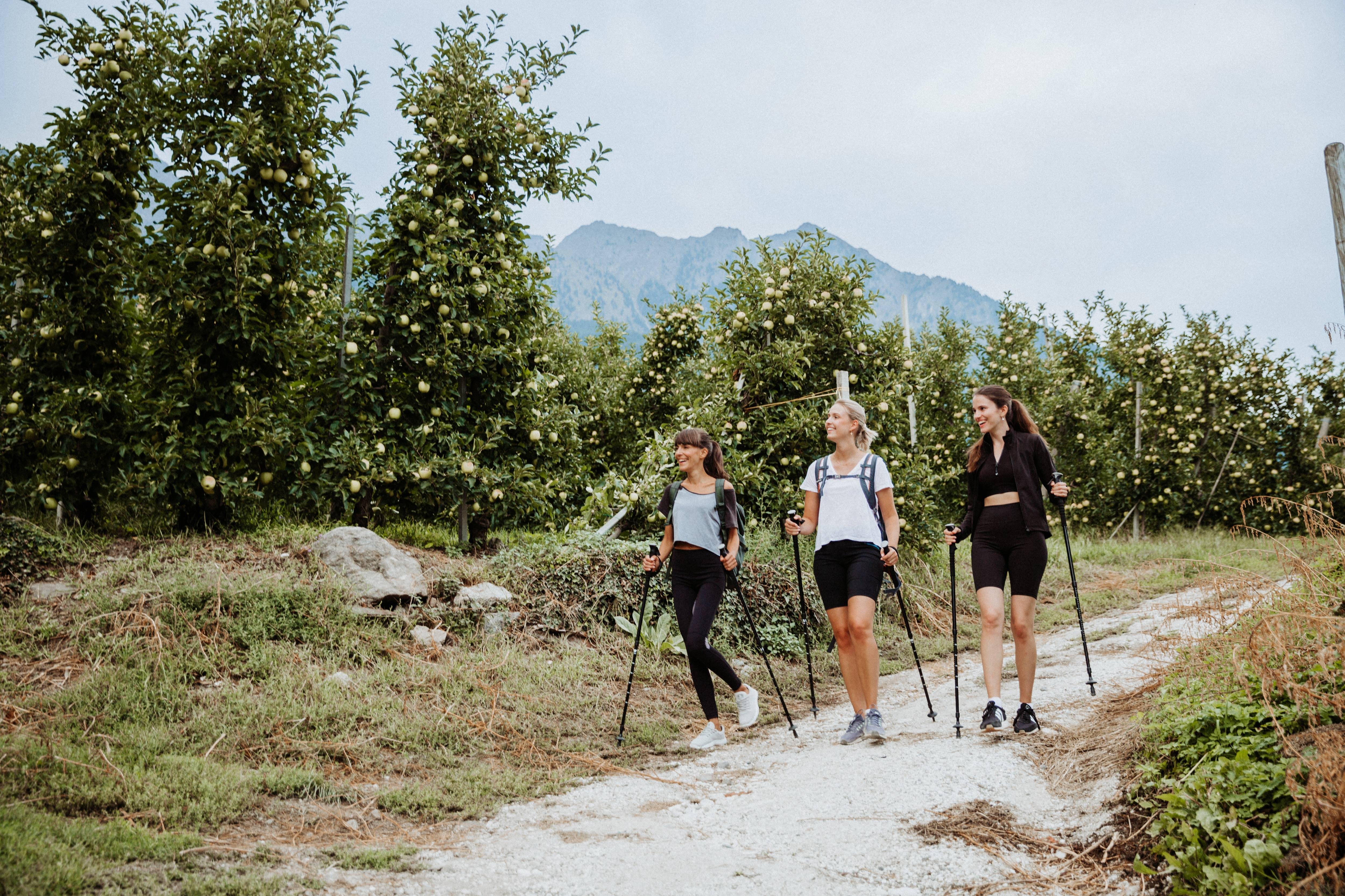 Entdeckt Südtirol