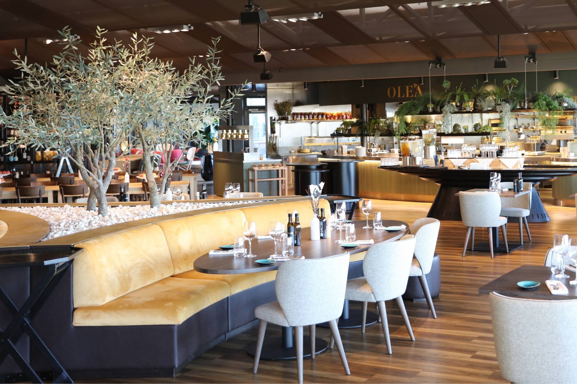 Restaurant OLEA - mediterran geniessen