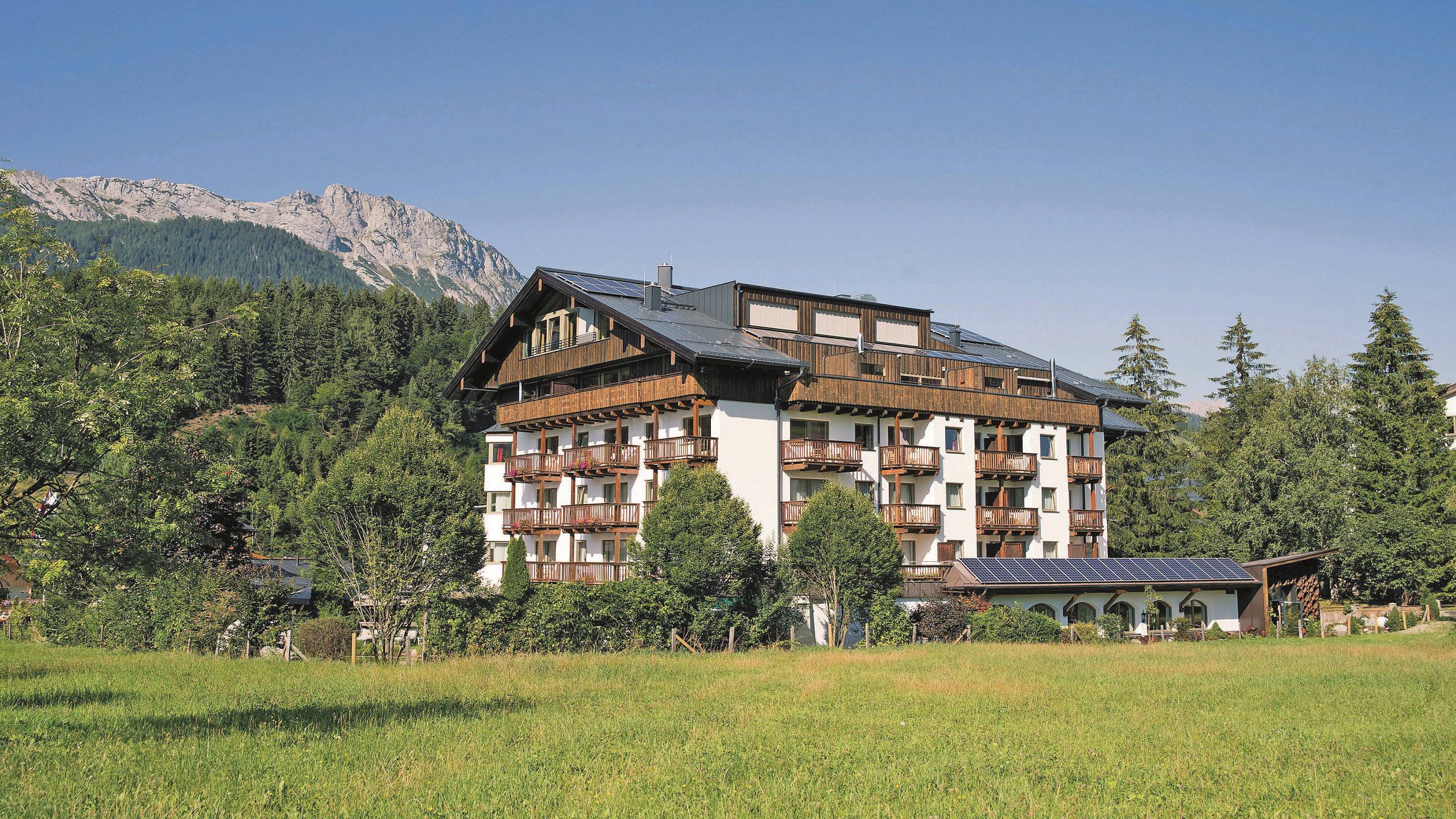 LEBE FREI Hotel der Löwe