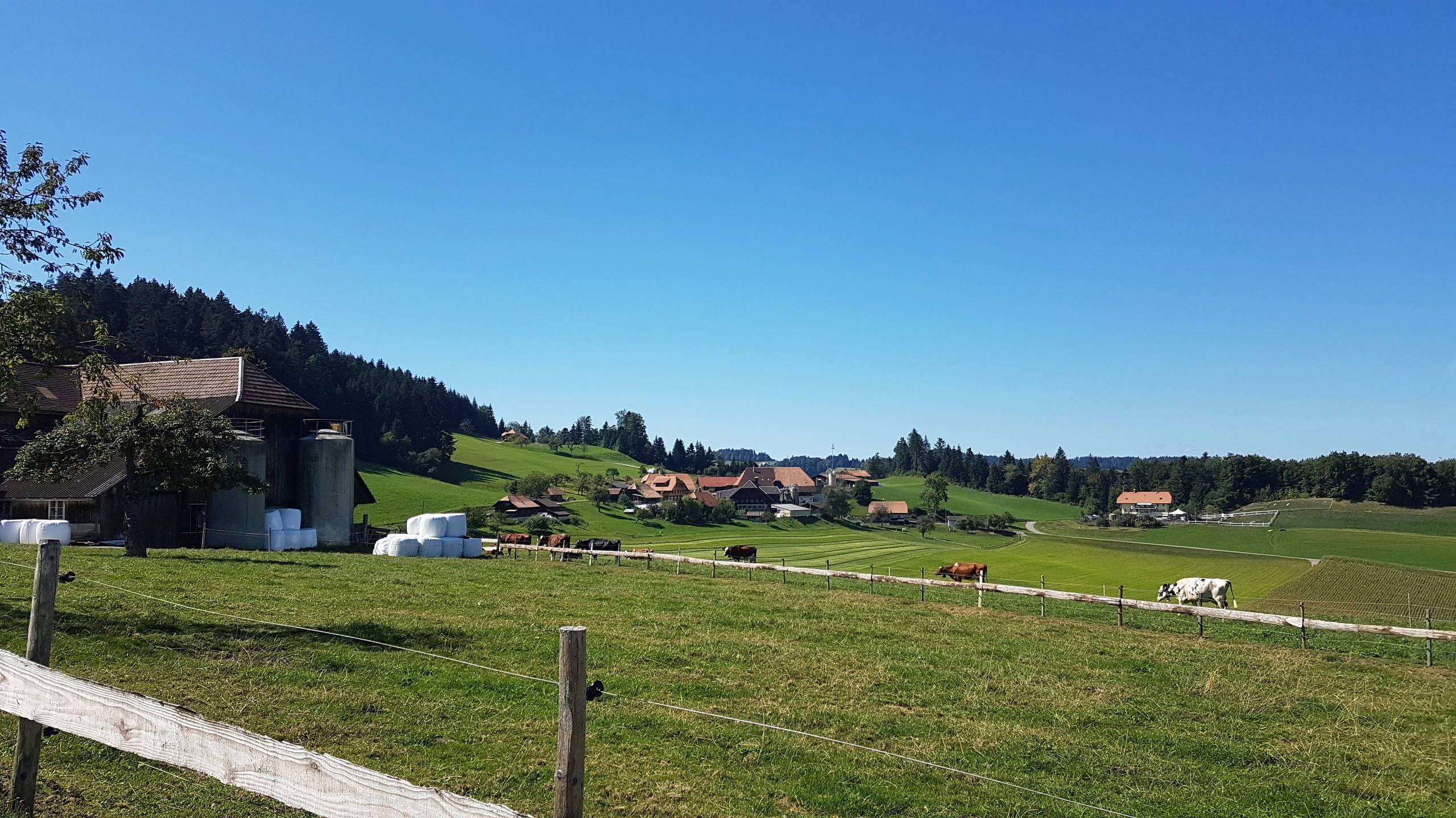 Gasthof Bären