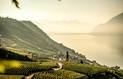 Vevey