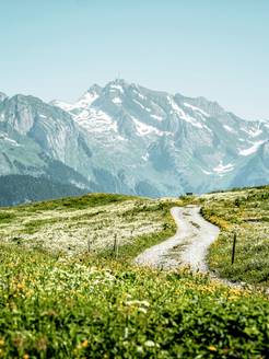 Toggenburg