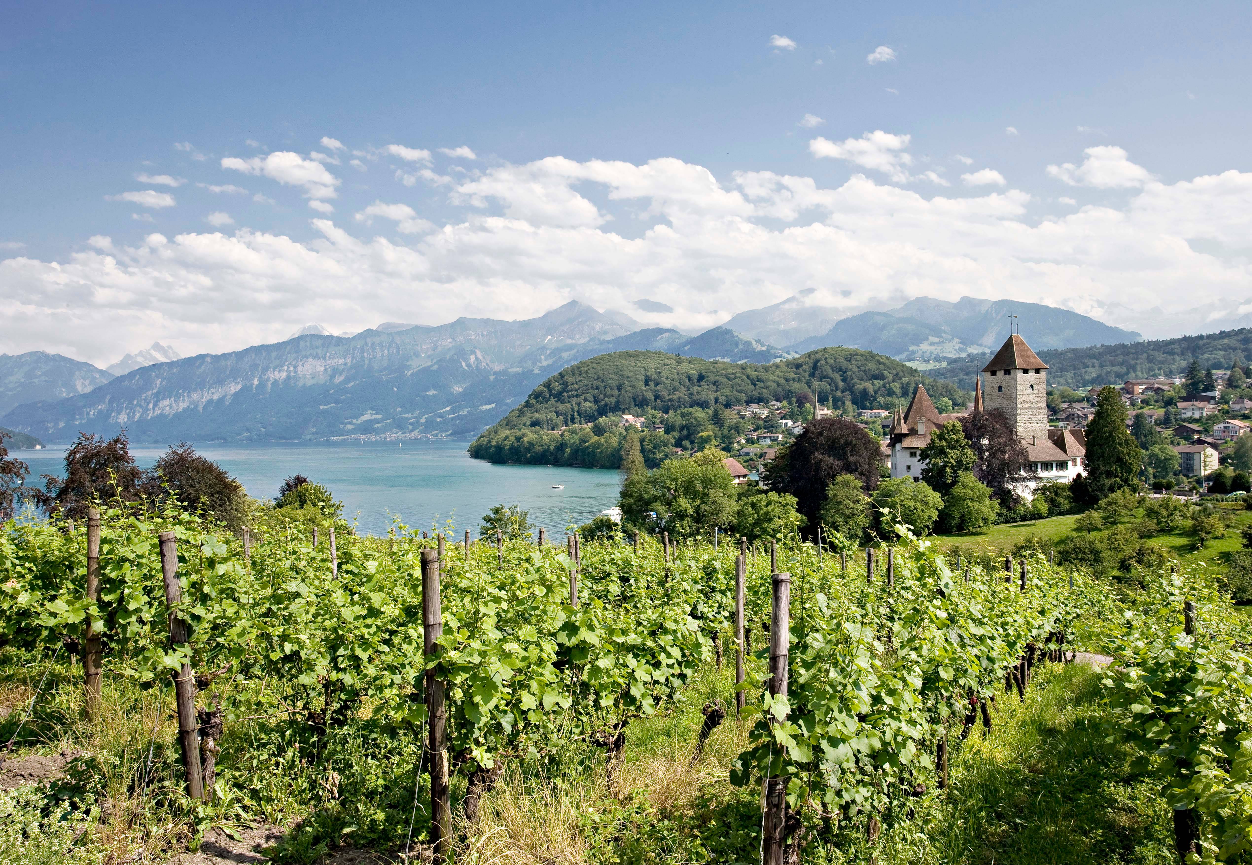 Spiez