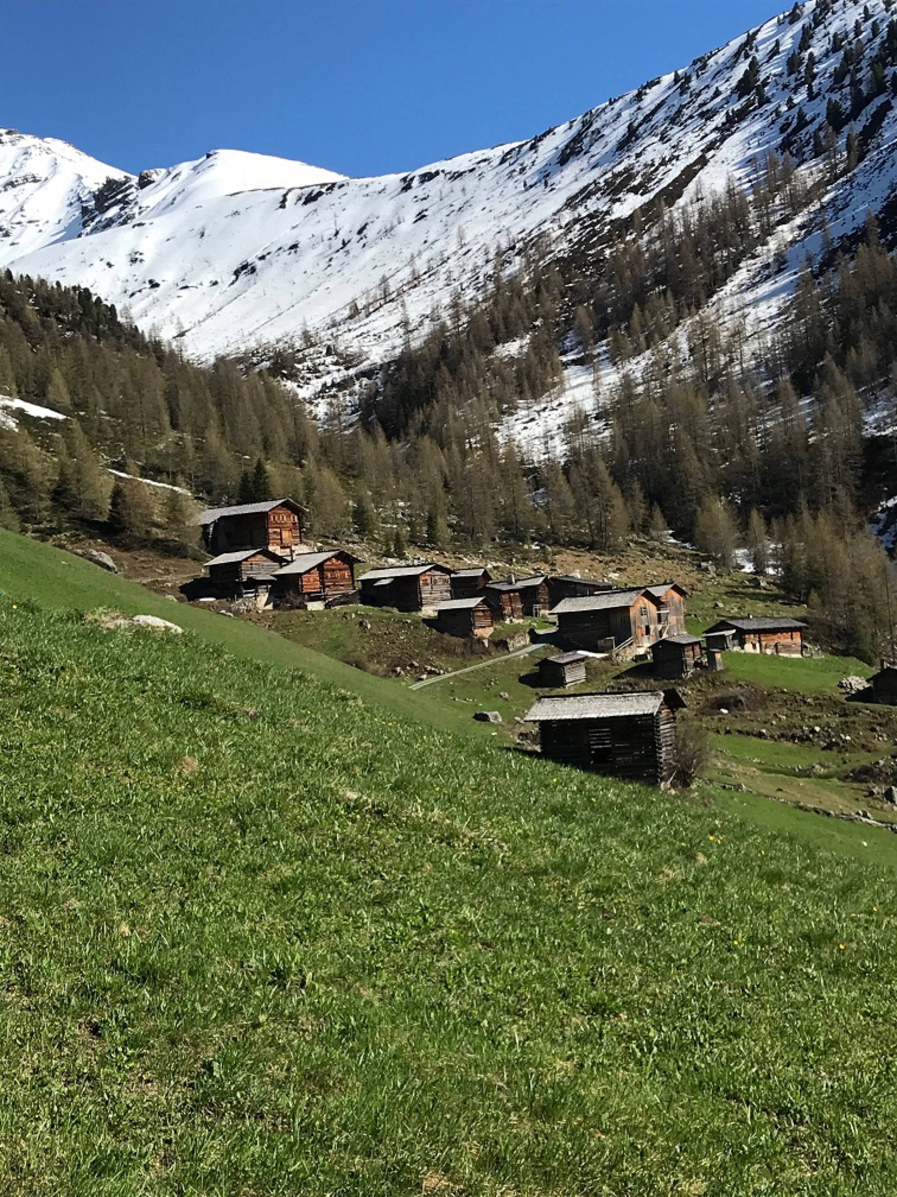 Davos Monstein