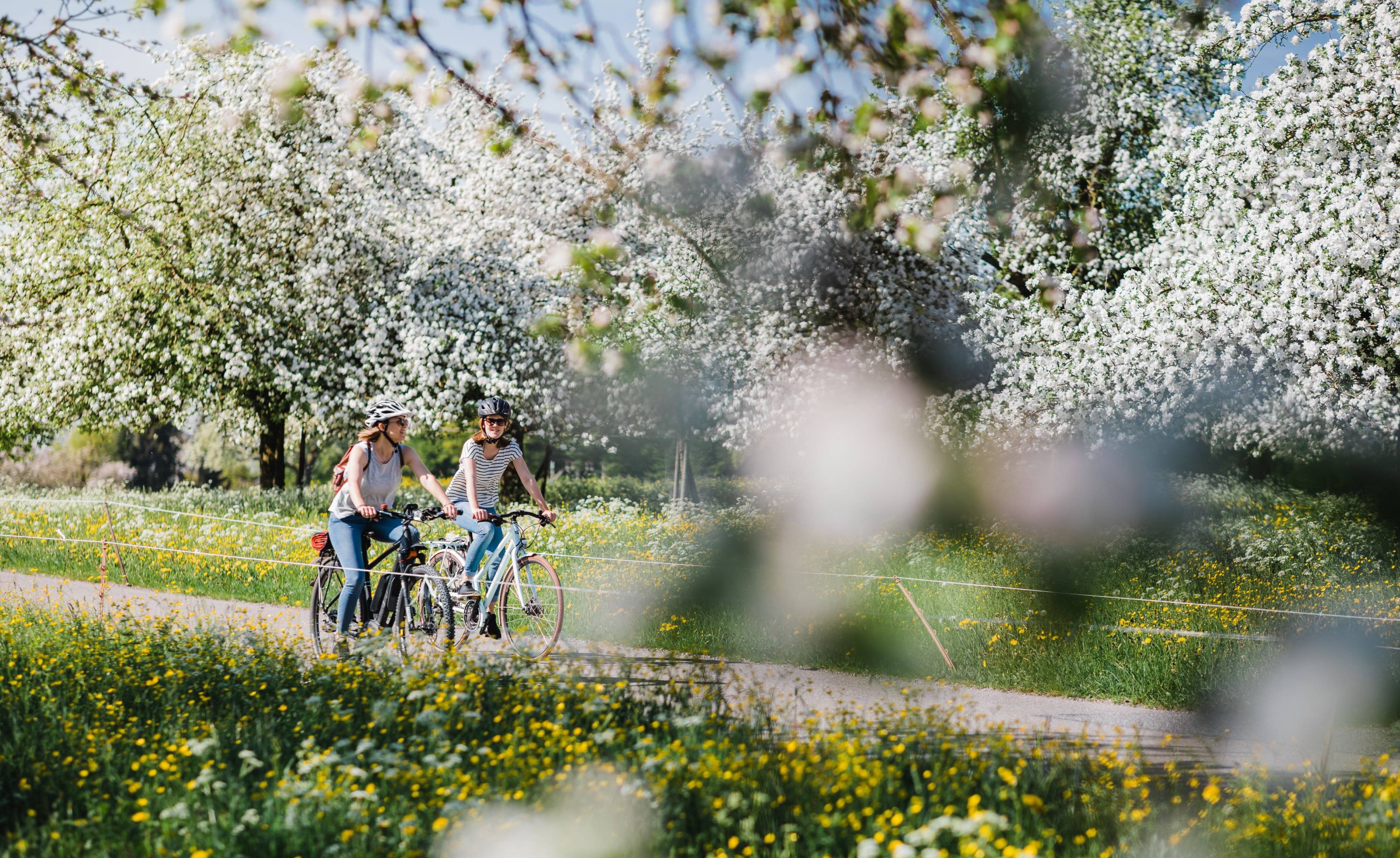Fahrradtrip durch idyllische Landschaften