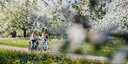Balade à vélo à travers des paysages idylliques