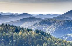 Pfälzer Bergland