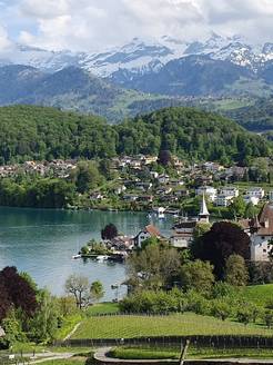 Spiez