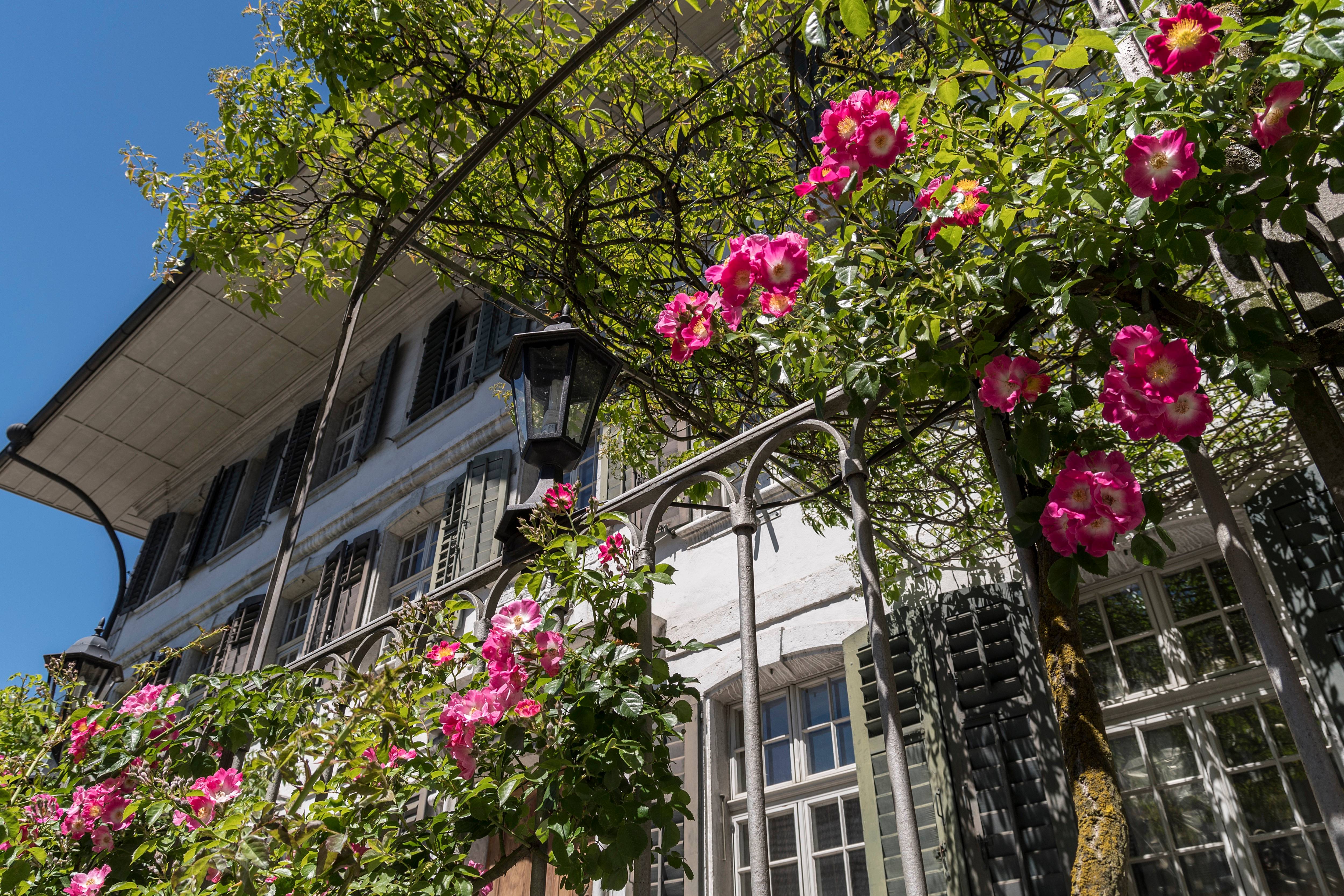 Kreuz Herzogenbuchsee