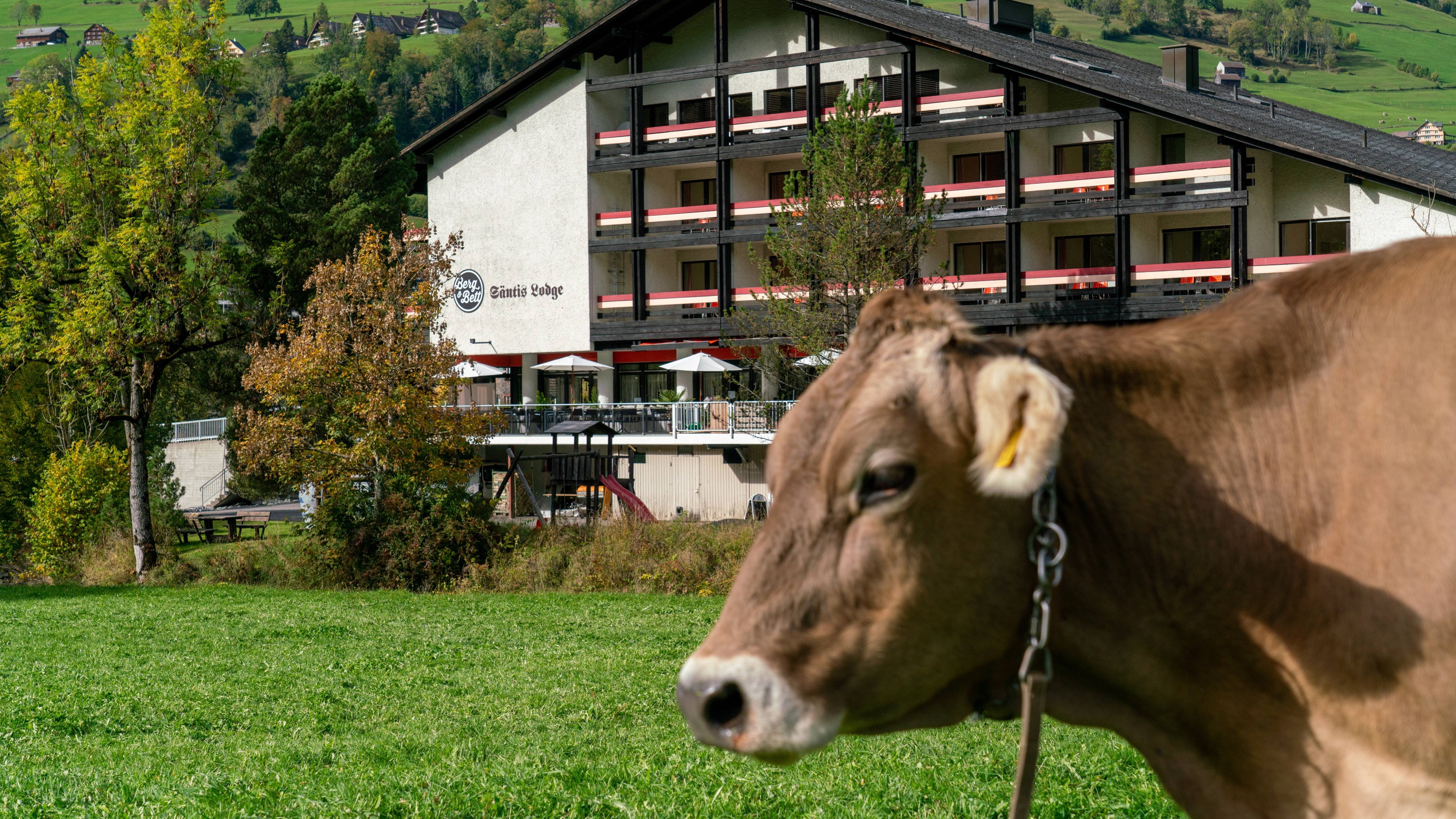 Berg & Bett Säntis Lodge