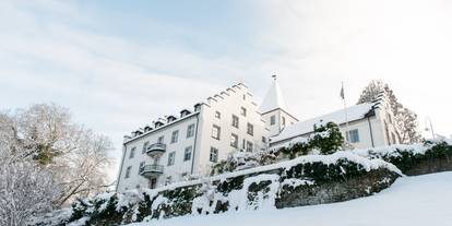 Château enchanteur au bord du lac de Constance
