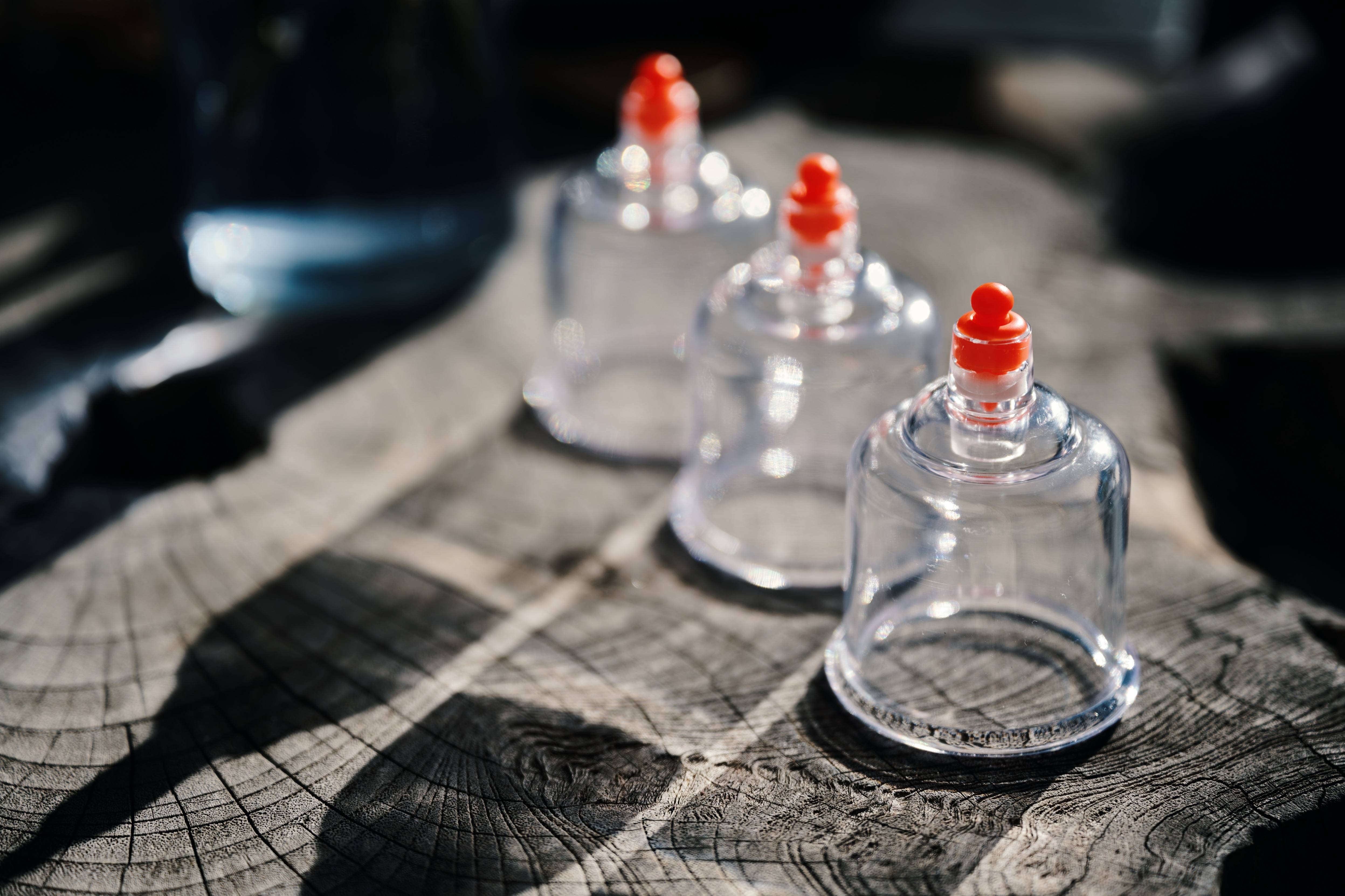 Signature Ridge Back