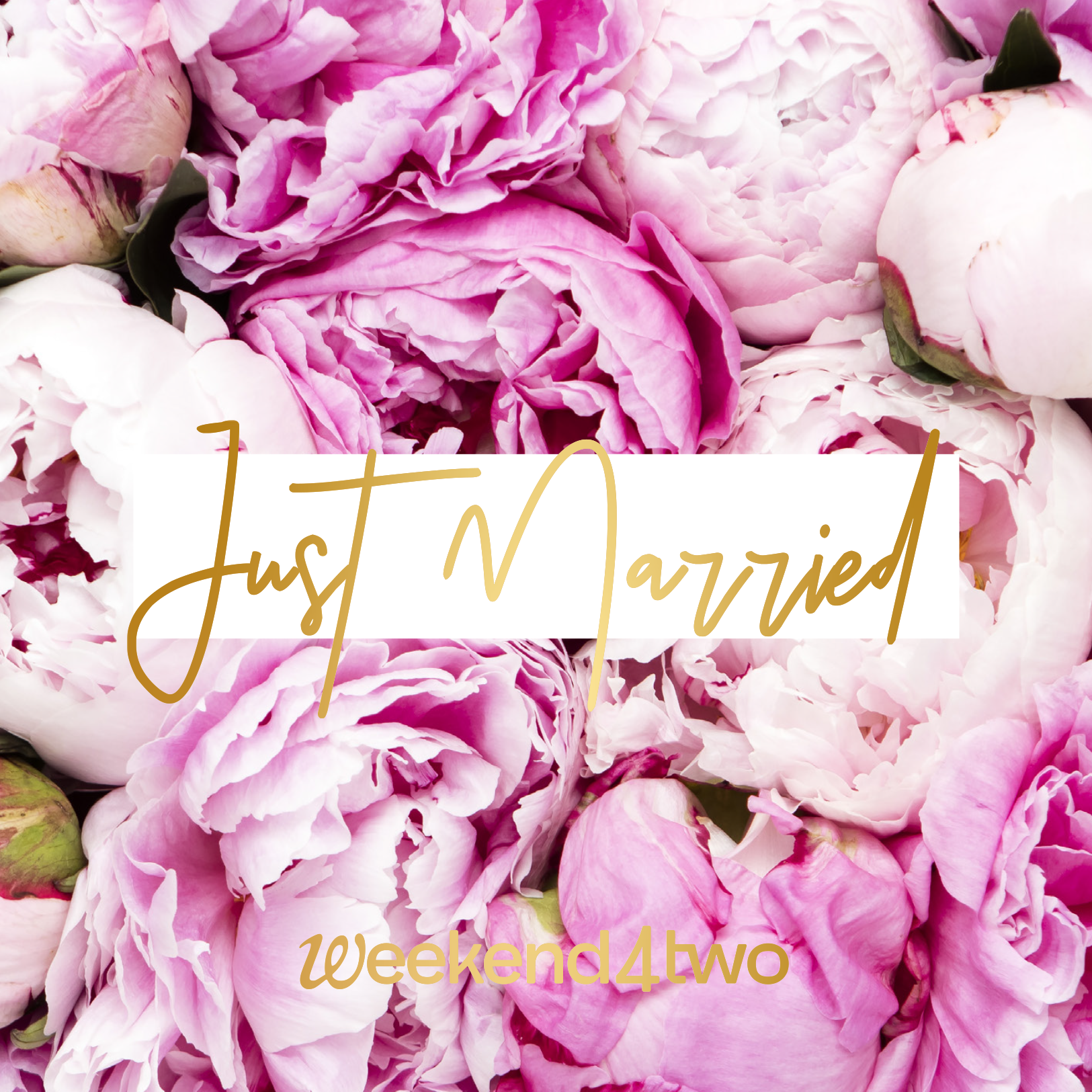 Just Married Pfingstrosen