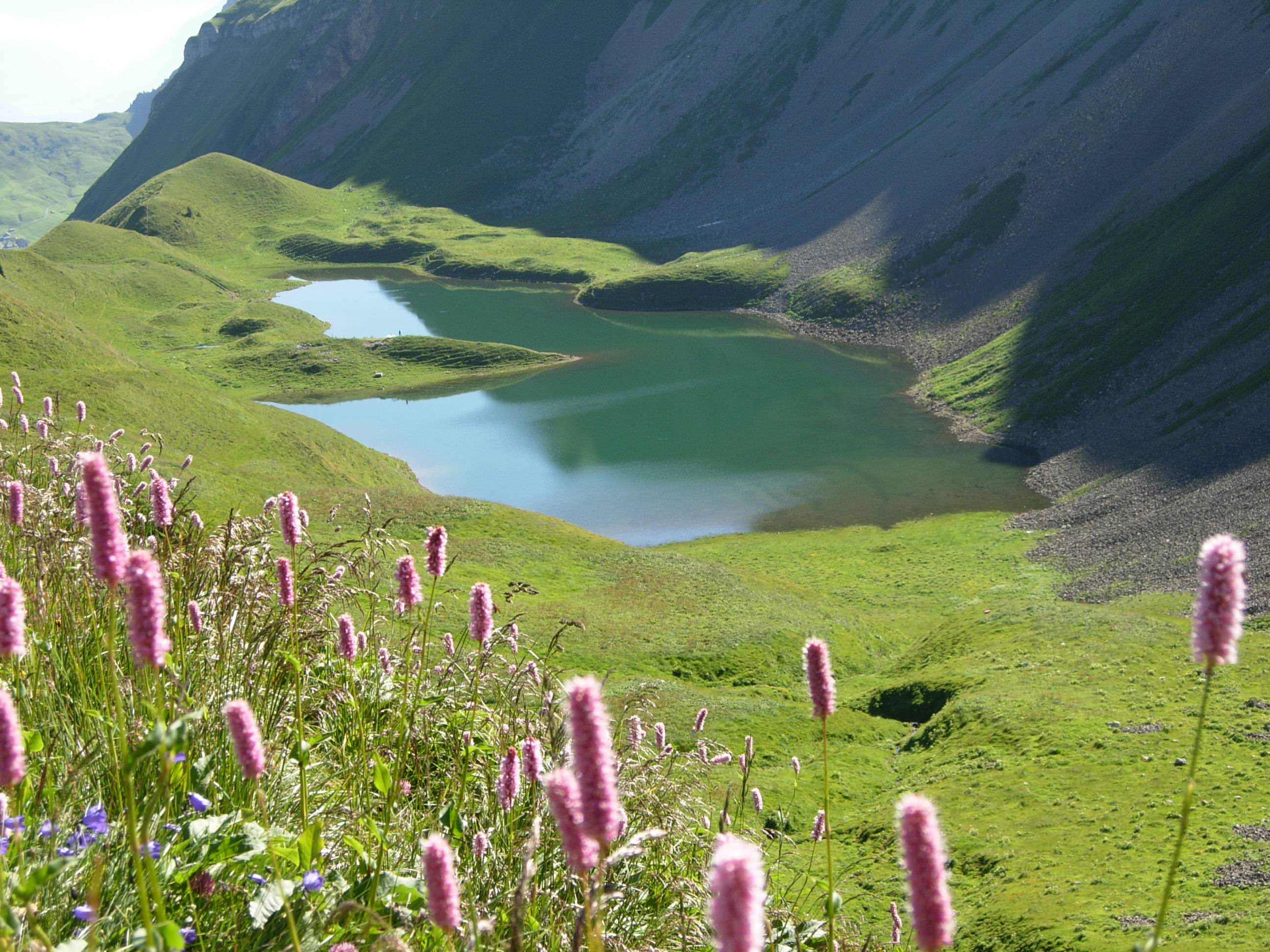 Bergkulisse in Sörenberg