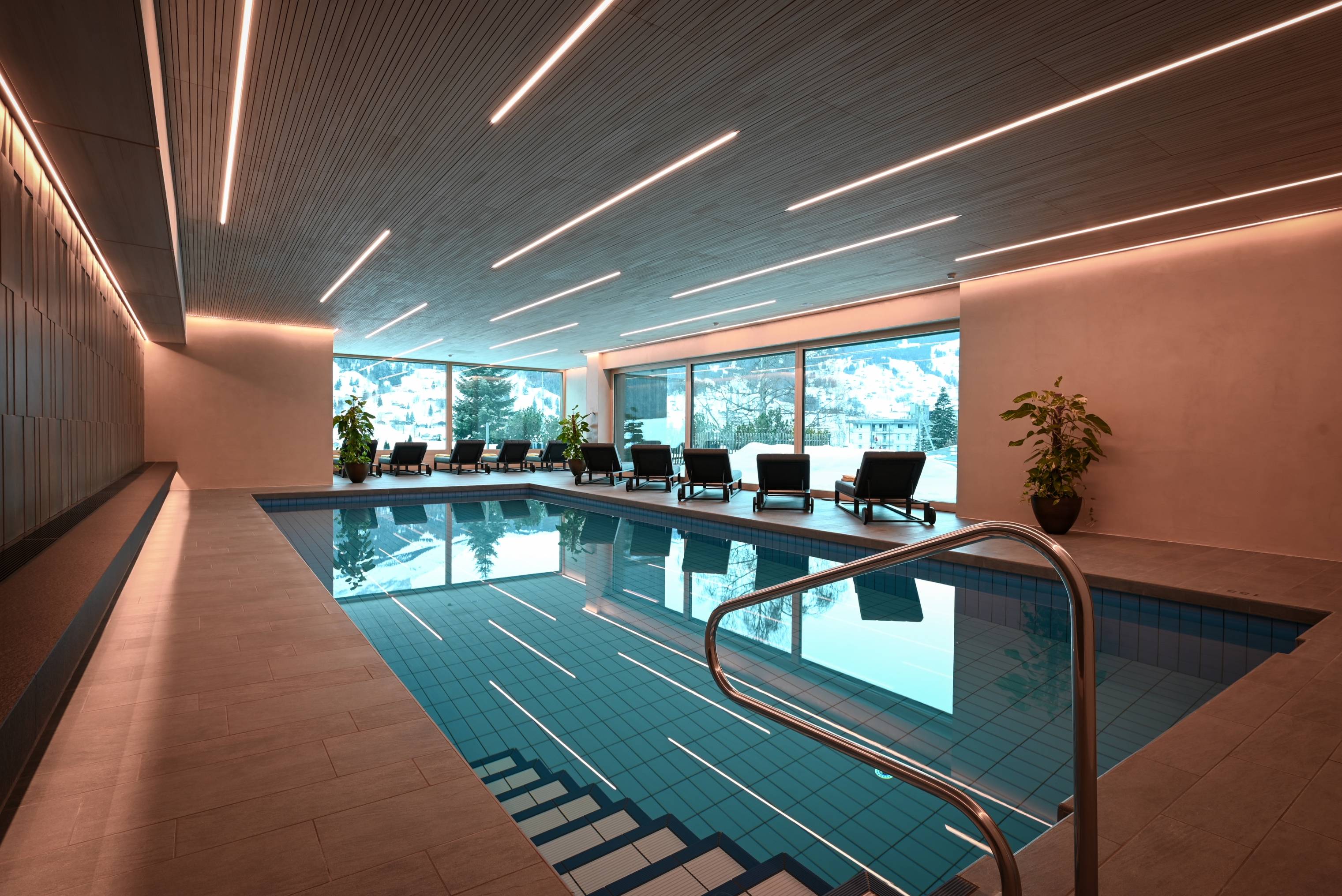 Wellness