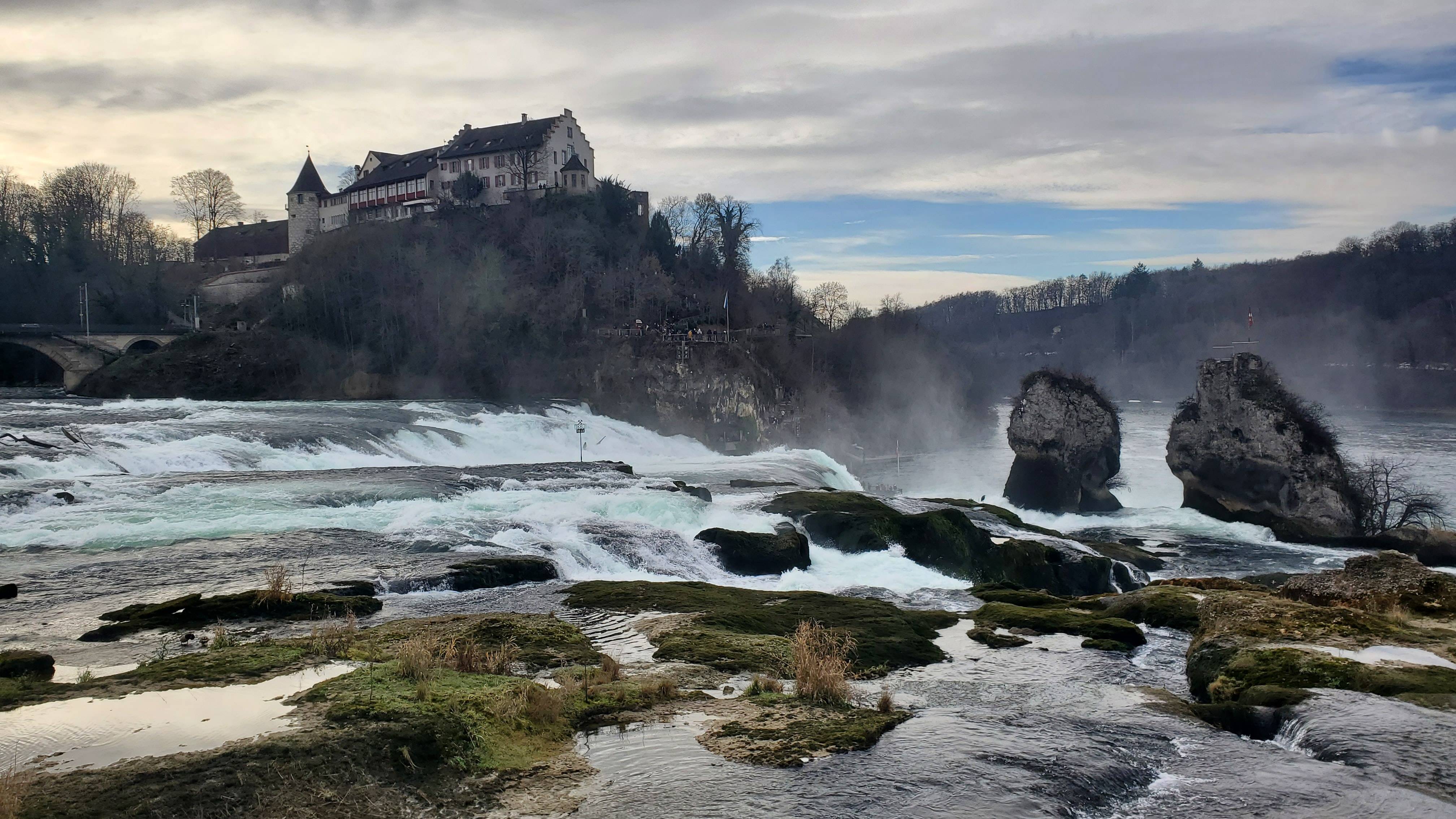 Vue sur les chutes du Rhin & le château de Laufen