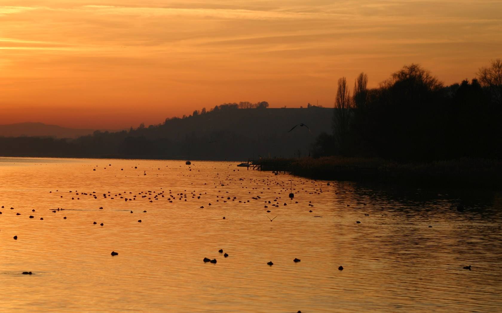 Region Murtensee