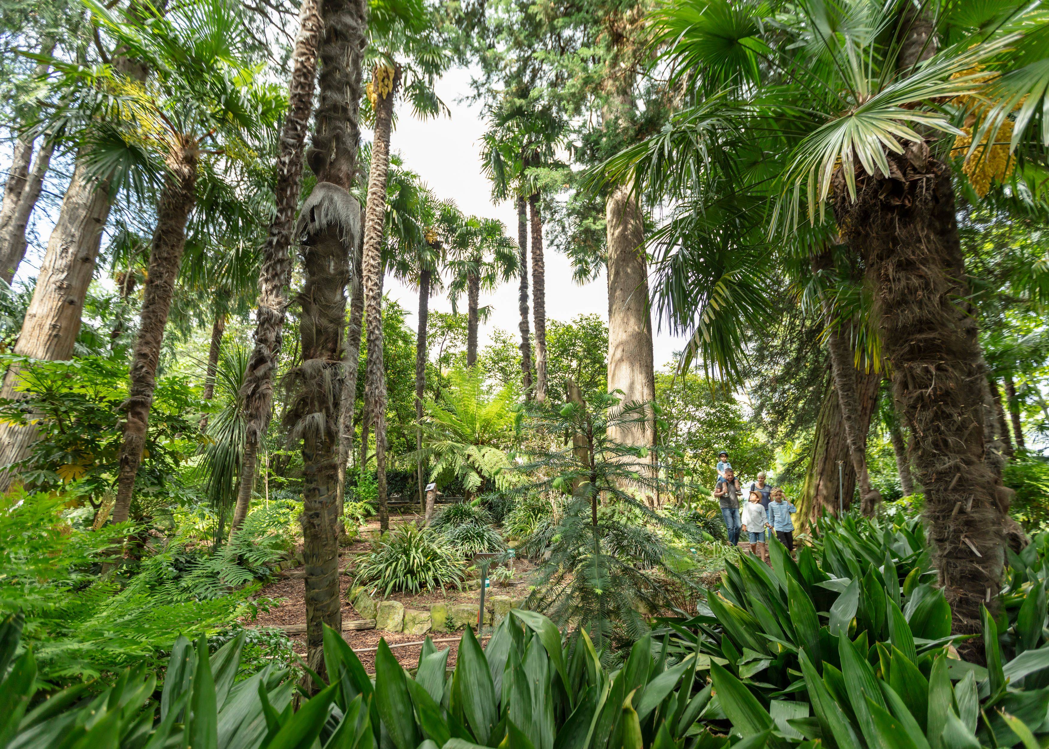 Copyright Ticino Turismo - Foto Alessio Pizzicannella