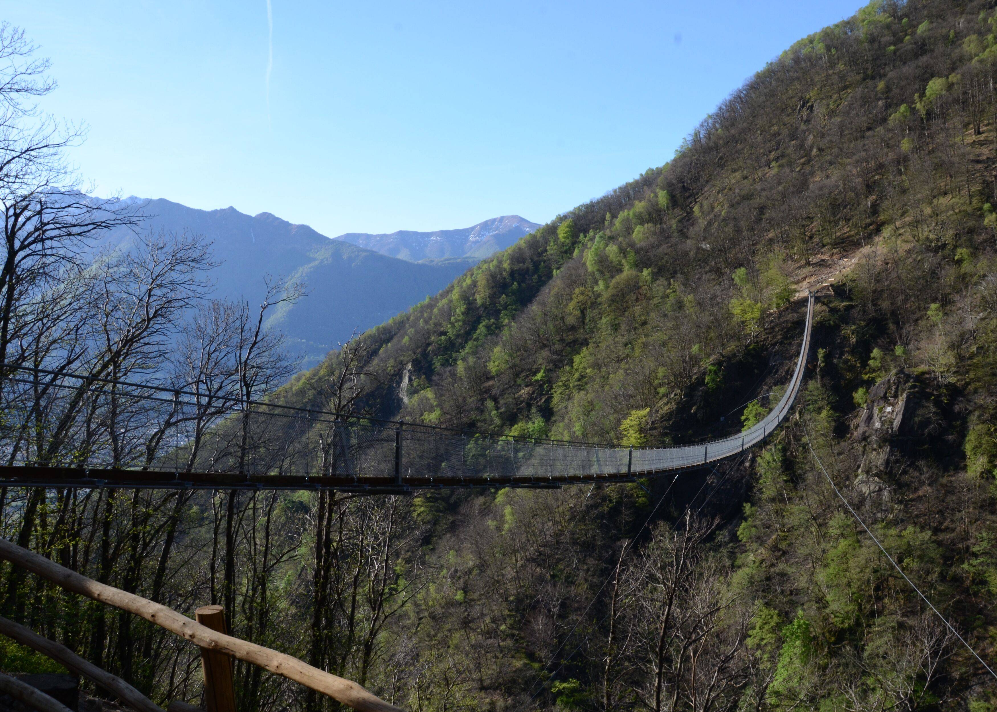 Copyrigth ©Fondazione Curzutt - Fogto Alfonso Zirpoli