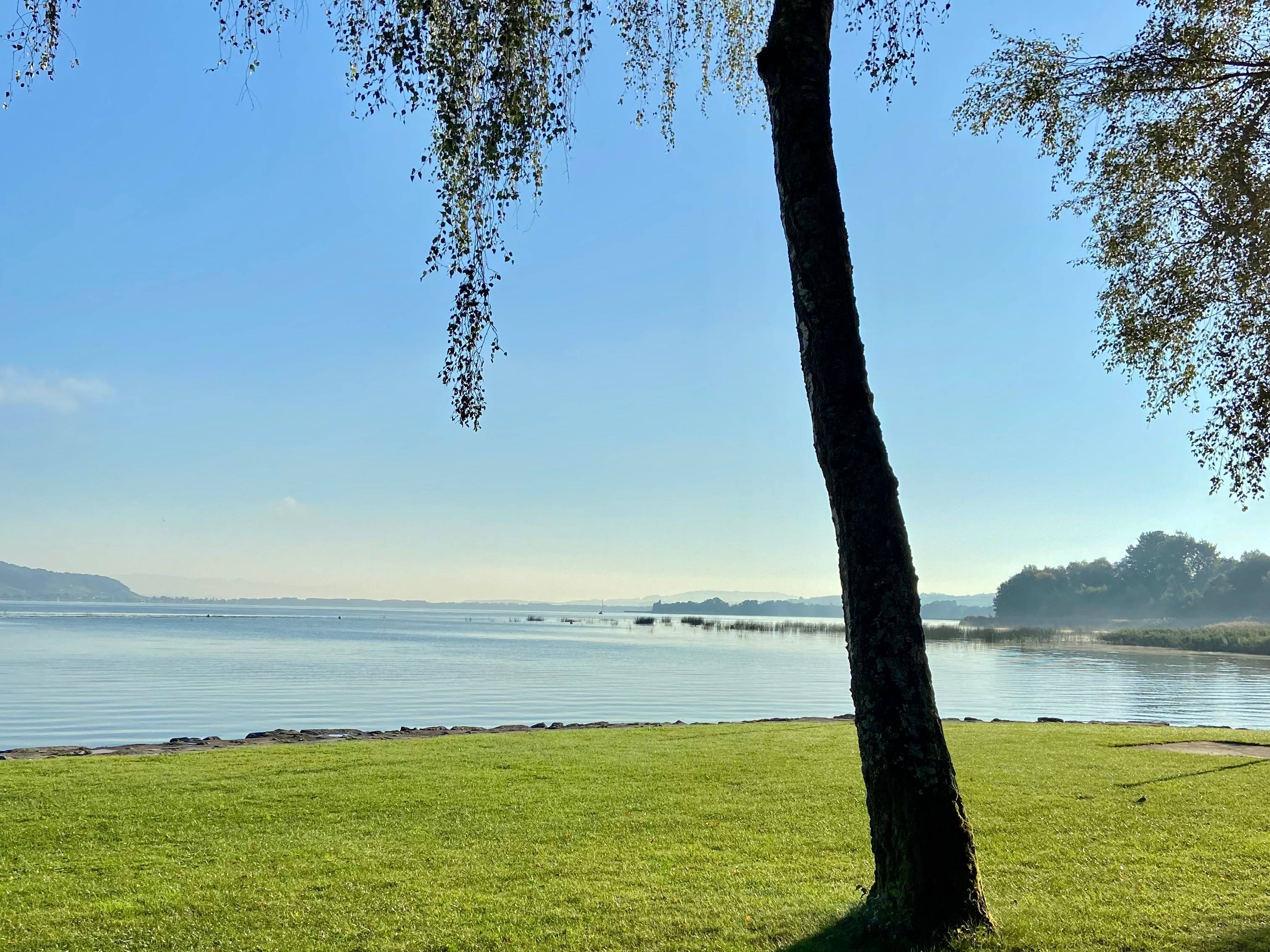 Bild vom Ufer des Murtensees