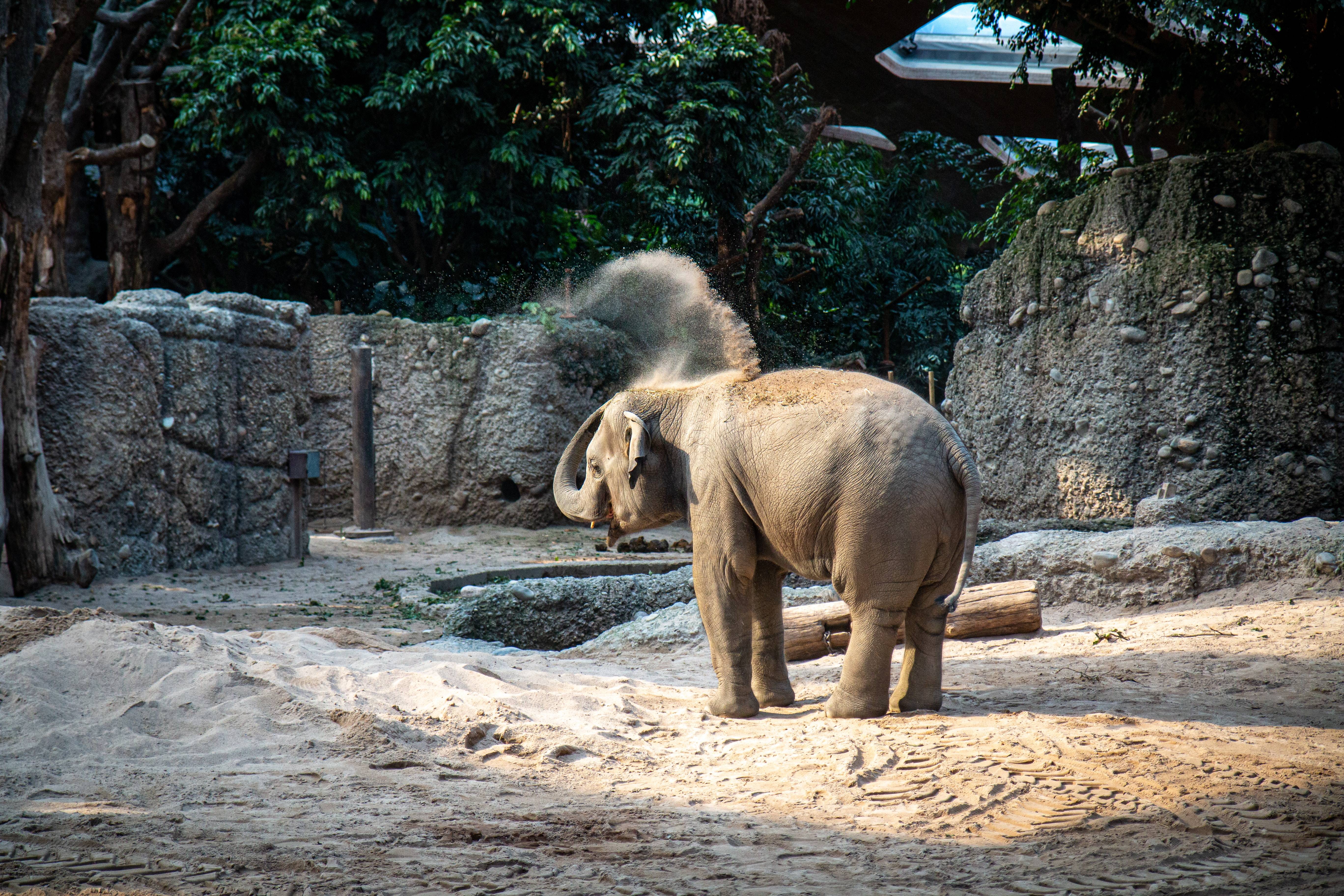 Foto von Simon Infanger 